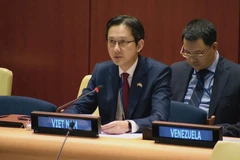 L’ambassadeur Dô Hung Viêt, représentant permanent du Vietnam auprès des Nations Unies, intervient lors d’un débat sur la paix en Afrique. Photo : VNA