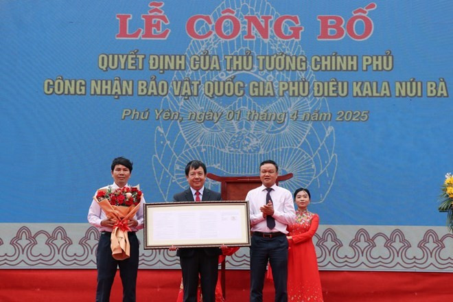 Le vice-président du Comité populaire provincial de Phu Yên, Dào My, présente la décision du Premier ministre de reconnaître le relief de Kala - Nui Bà comme trésor national. Photo : laodong.vn dao-my-laodongvn.jpg
