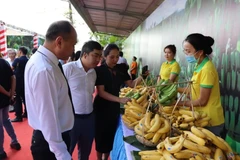 Opportunités d'exportation de produits agricoles vers le Japon